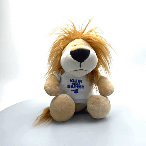 Knuffel leeuwtje
