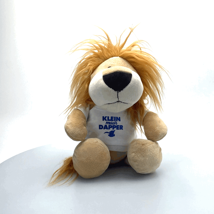 Knuffel leeuwtje