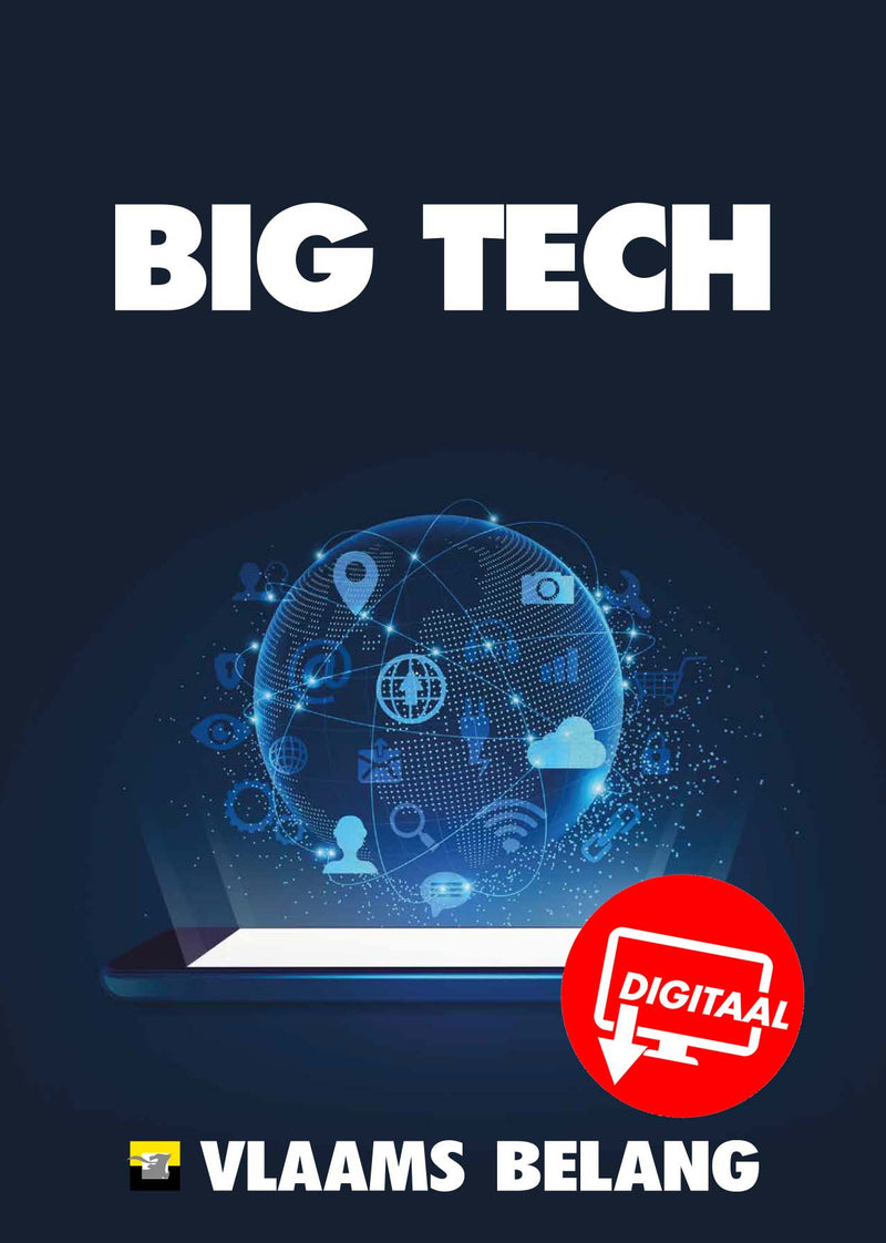 Big Tech brochure (download)