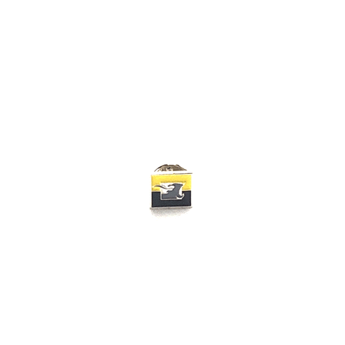 Vlaams Belang - Pin